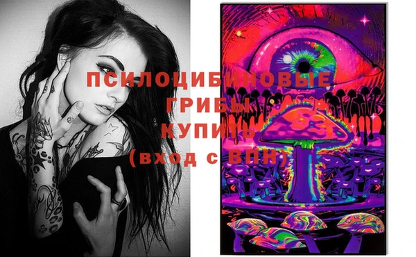 дурь Алексин