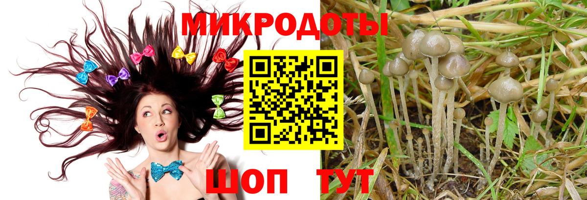 хочу наркоту  Вход с VPN  Алушта  Псилоцибиновые грибы прущие грибы 