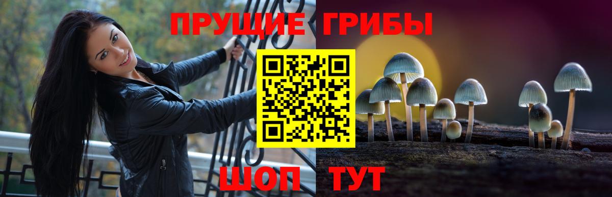 Псилоцибиновые грибы мухоморы Алушта